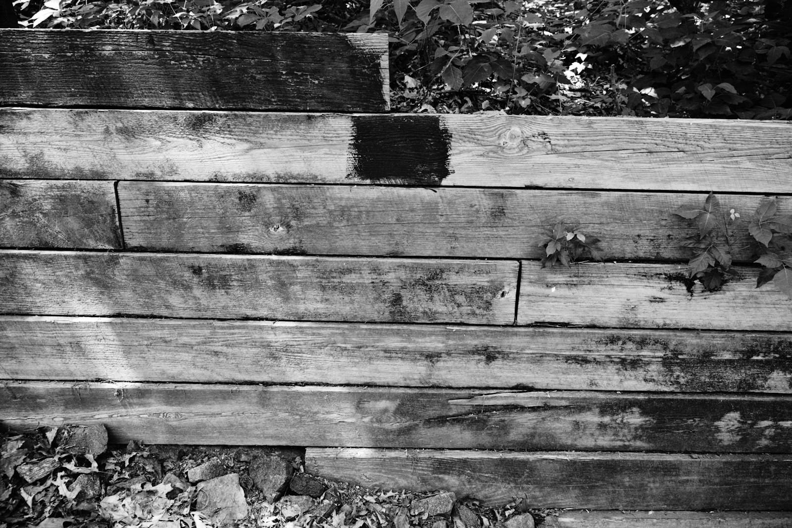 Weathered timber retaining wall in black and white